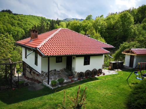 Plachkovtsi Haus | Къща за гости Ножери