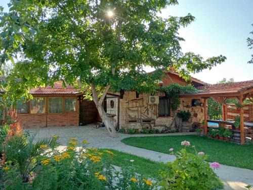 Dalgopo Haus | Мехса