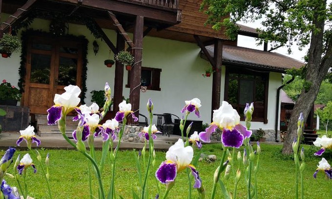 Dahovskoe Haus | Хамышинские Дачи