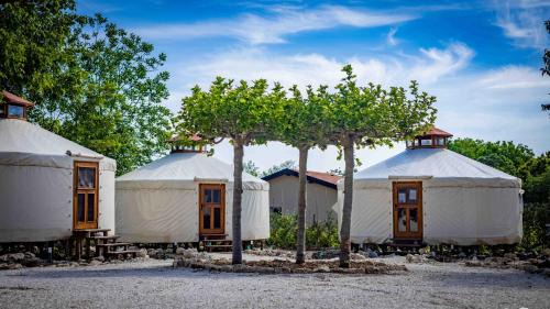 Vetrino Sonstige | Юртов лагер Наедно