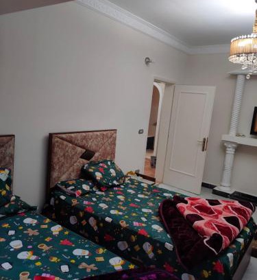 Nasr City Wohnung | مدينه نصر عمارات ميلسا امام ستي ستارز