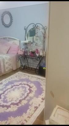 New Cairo Haus | منطقه ٥١ اسكان الجامعه الامريكيه