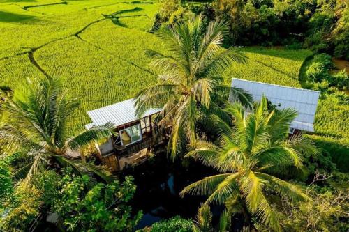 Nan Haus | ต้งโฮมสเตย์ กลางทุ่งนา Local Homestay and View