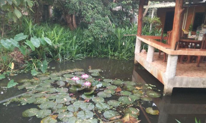 Mueang Nga Haus | ต้งโฮมหละปูน ณ ตูบคำ