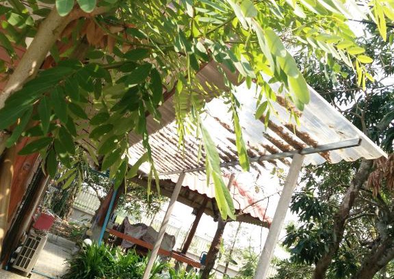 Mueang Nga Haus | ต้งโฮมหละปูน