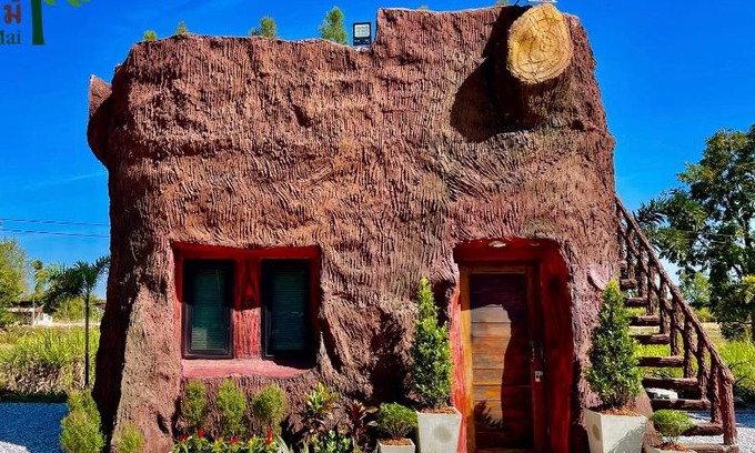 Kalasin Haus | บ้านตอไม้ Stump House