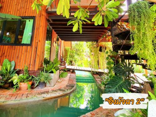 Sena Haus | บ้านนกฮูกอิงไม้ อิงมัจฉา 2