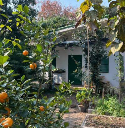 Wang Thong Haus | บ้านมะลิ