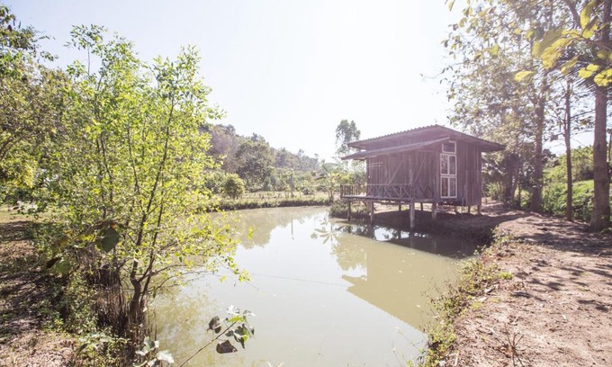 Mae Taeng Haus | บ้านเพื่อน อยู่ในป่า - Friend's house Homestay Mae Tang