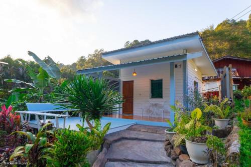 Doi Saket Haus | ปางสูงเฮาส์ pangsung house บ้านกลางดอย