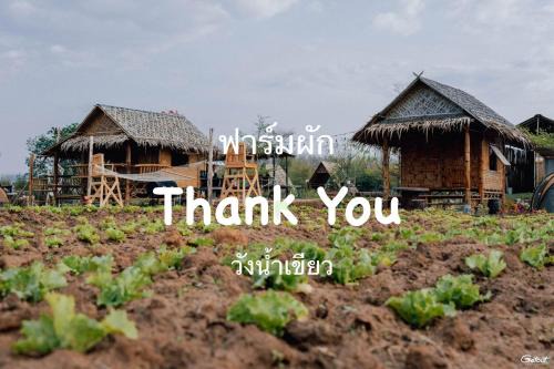 Thai Samakkhi Haus | ฟาร์มผัก Thank you