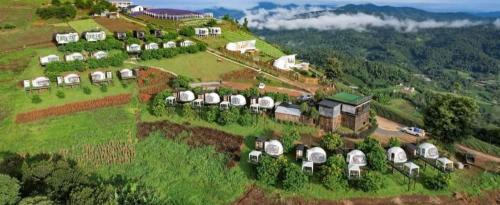 Mae Rim Sonstige | ม่อนหมอกฟ้า ม่อนแจ่ม