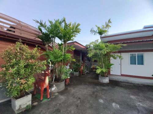 San Pong Haus | ริมทุ่งโฮมสเตย์