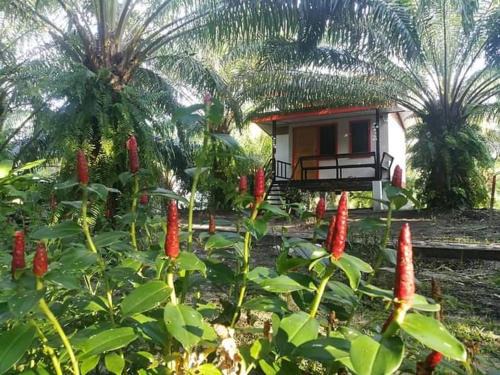 Sikao Haus | สบายคันทรีรีสอร์ท ปากเมงSa-buy country resort Pak Meng