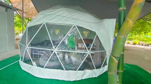 Chonburi Sonstige | สวนบ้านเราแคมป์ Our Garden Camp