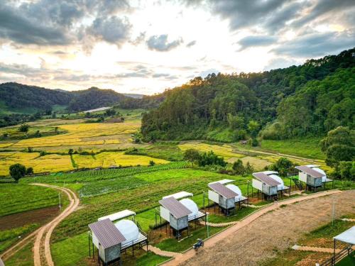Huai Makhuea Som Sonstige | สวนไร่รุ่งอรุณ Suan Rai Rungarun