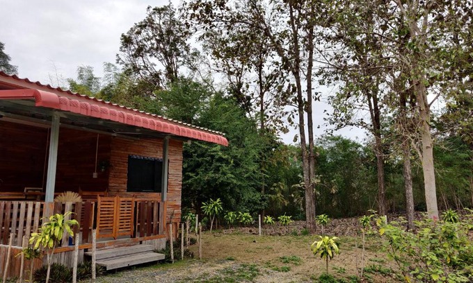 Mae On Haus | สายฝนการ์เด้น