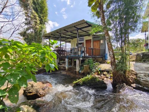 Chom Thong Haus | อินทนนท์ บ้านพักเล่าจู Inthanon Laoju House