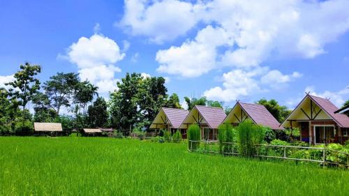 Pua Haus | ฮ้างนาตาจันทร์