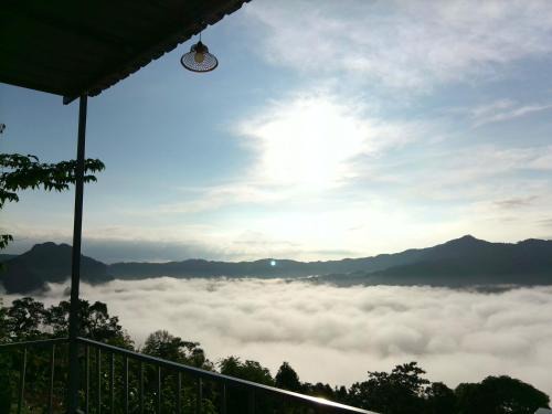 Pong Sonstige | เดอะเบสภูลังกา