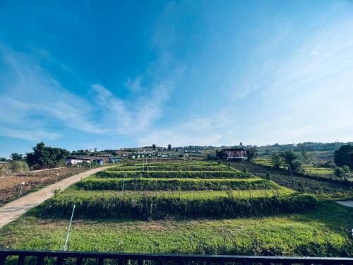 Lom Kao Haus | ไร่รักดอย ภูทับเบิก
