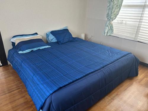 Watari Haus | なかじま宿