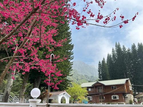 Nanzhuang Haus | 南苑莊園 NanYuan Resort Manor