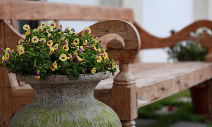 Ji'an Haus | 大花紫薇田園民宿-附電梯