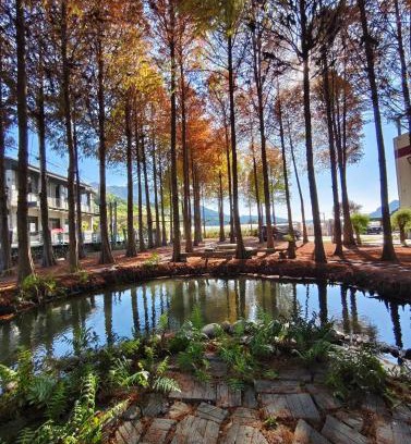 Guoxing Kabine | 寵物友善 漫步森活 九樺落羽松民宿