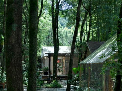 Changjiang County Haus | 景德镇树园心舍民宿JDZ Forest Haven B&B