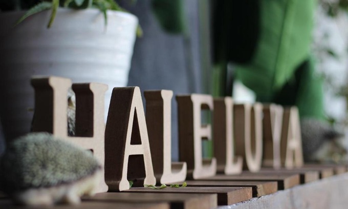 Fujikawaguchiko Haus | 晴家(HALELUYA) Guest House