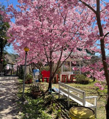 Fuxing District Skihütte | 桃山渡假農場