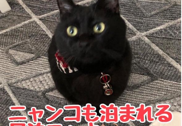 Shussaku Cho Bed & Breakfast | 男性のみでの利用不可ーペット連れ歓迎 女性連れ専用ーotomari MUSUHIータイ古式マッサージや妊産婦ケアが受けられる 源泉掛け流し温泉側の宿 ドッグラン可