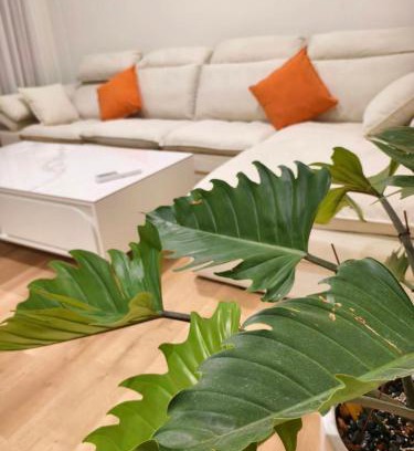 Hengchun Haus | 見海灣私旅