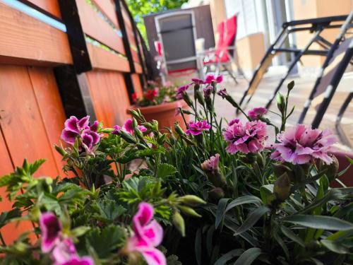 Harkany Wohnung | 100 lépés - 100 steps - Apt with huge terrace next to the thermal bath