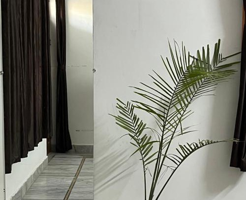 Jaipur Haus | 1BHK Villa In Jaipur