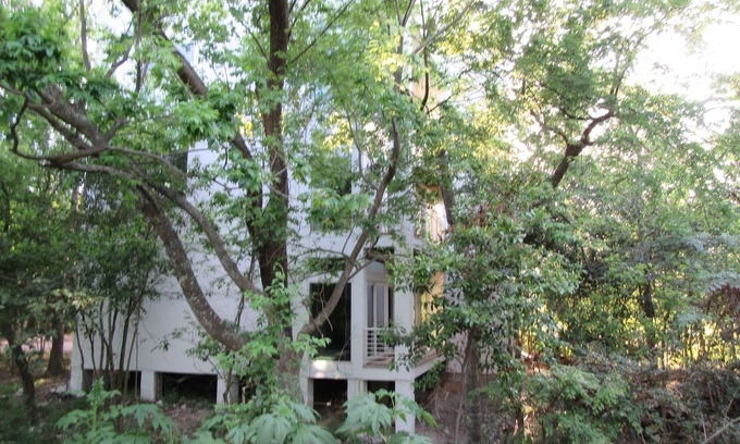 Washington Ave./ Memorial Park Wohnung | 1. Stock Apt in Native Woods, neben den Bayou Trails, Washington St / Heights Area