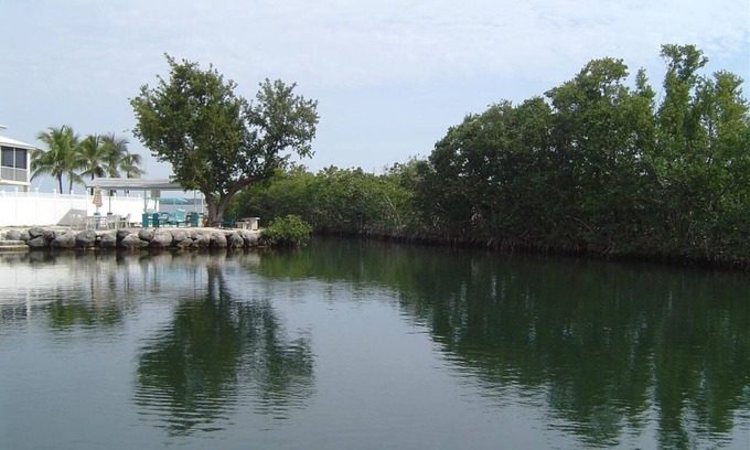 Cross Key Waterways Haus | 2/2 Oceanside house within walking distance to Pennekamp state park