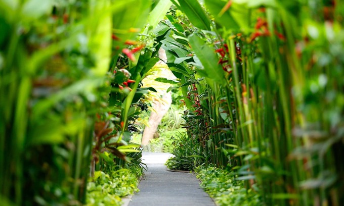 Nakula Villa | 2 BR Pivate Pool Villa, 5 Minuten zu Fuß zum Strand und zum Einkaufsviertel Seminyak