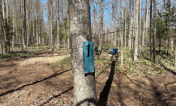 Beulah Wohnmobilvermietung | Private Wooded Campsite for Tents or Small RV's #1