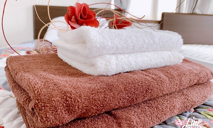 Nishikoiwa Wohnung | 202/203 Close to Akihabara. Disneyland. Asakusabashi