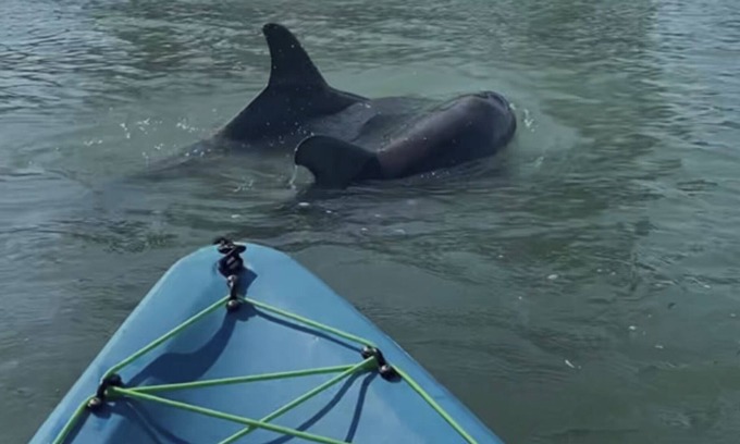 Cocoa Isles Country Club Eigentumswohnung | 321 lift off, rockets and dolphins from your window