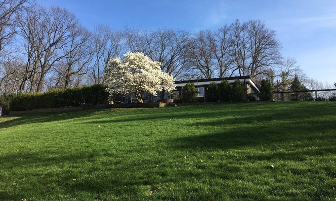 Allen Haus | 4 Bedroom home with pool near campus. Perfect for student family gatherings.