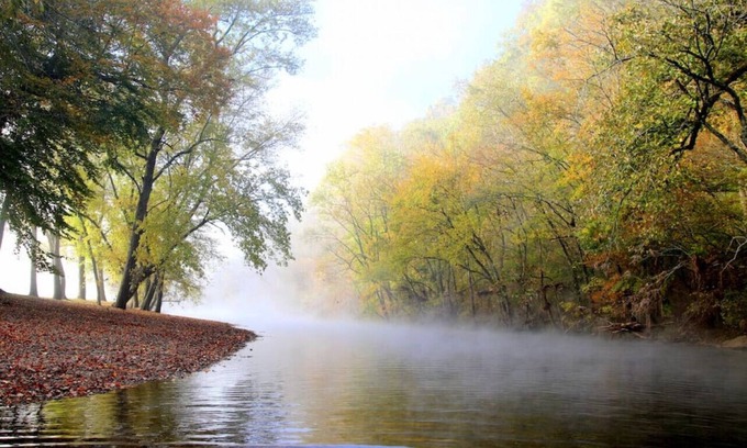 Normandy Haus | 4 BR Ranch Stay on the Duck River with Ponds HS#3