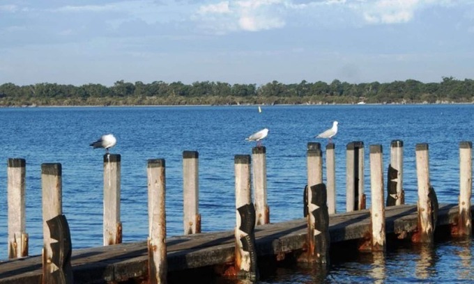 Dawesville Haus | 4BR home with estuary views nestled amongst native trees and flowers