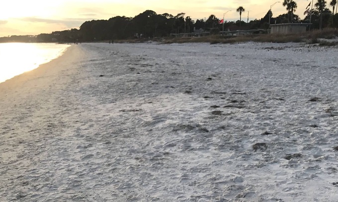 Carrabelle Eigentumswohnung | 5 min vom Strand entfernt!