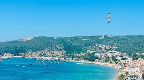 Santiago Wohnung | 903 by the sea