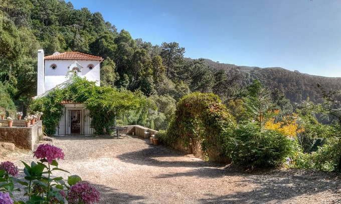 Sintra Haus | Ein 3-stöckiges Landhaus in 10 Hektar Wald gelegen