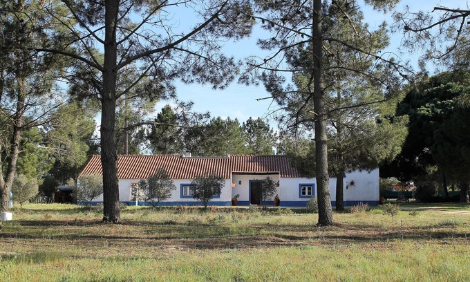 Alcacer do Sal Haus | A Casa do Pinheiro tem uma Área de 5.000m2 com Piscina