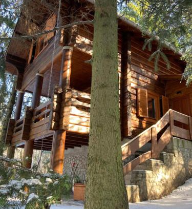 Bukkaranyos Skihütte | A fák ölelése vendégház